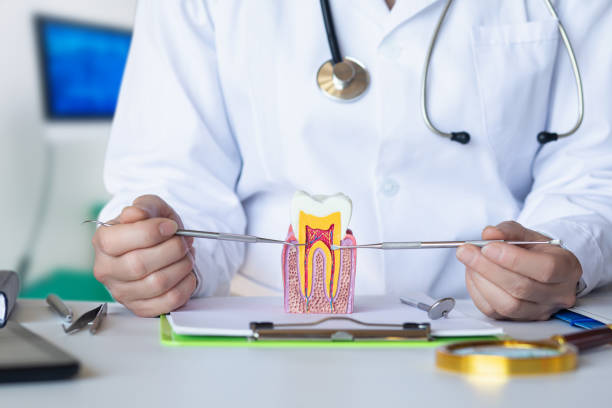 Best Emergency Tooth Extraction in Rocky Point, NC